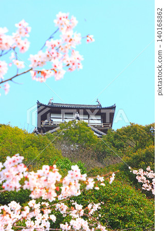 愛知縣犬山市的犬山城和櫻花。 140168862