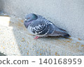 Turtledove  140168959