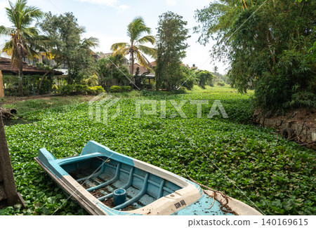 A very overgrown river in Negombo, editorial image A very overgrown river in Negombo, editorial image 140169615