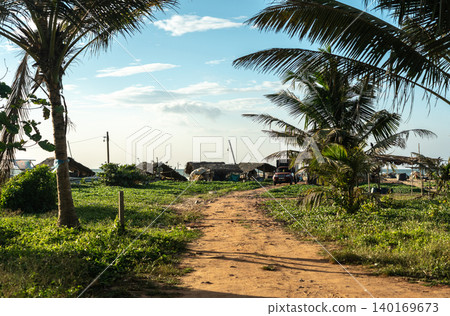 Negombo Beach, overgrown with vines and greenery, editorial image Negombo Beach, overgrown with vines and greenery, editorial image 140169673