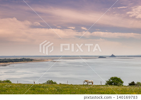 horse in a field with sea and Mont saint Michel horse in a field with sea and Mont saint Michel 140169783