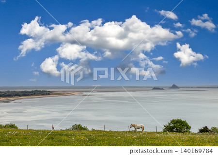 horse in a field with sea and Mont saint Michel horse in a field with sea and Mont saint Michel 140169784