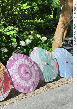 Japanese umbrellas and hydrangeas at Yōrinji Temple in Fukushima Prefecture: A scene of early summer in Japan. Japanese umbrellas and hydrangeas at Yōrinji Temple in Fukushima Prefecture: A scene of early summer in Japan. 140169857