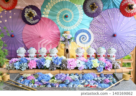繡球花和日本傘點綴著水盆,構成一幅美麗的插花:這是福島縣養林寺初夏的景象。 繡球花和日本傘點綴著水盆,構成一幅美麗的插花:這是福島縣養林寺初夏的景象。 140169862