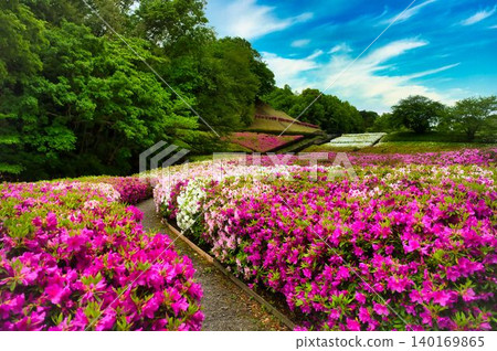 The most colorful area The most colorful area 140169865