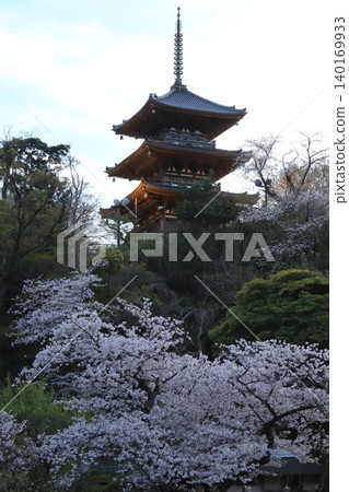 櫻花微風公園 櫻花微風公園 140169933
