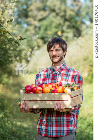 Man holding wooden box filled with red apples standing in green orchard during autumn harvest season Man holding wooden box filled with red apples standing in green orchard during autumn harvest season 140170410