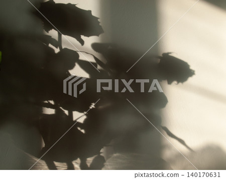 Abstract art background featuring a rose bouquet shadow and copy space. 140170631