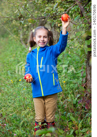 Cheerful girl picking red apple from tree branch while holding another fruit orchard autumn harvest 140170696