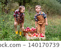 Two cheerful children gathering apples into baskets in green orchard during autumn harvest outdoors 140170739