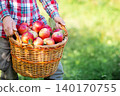Farmer holding wicker basket full of freshly picked red apples in orchard during autumn harvest day 140170755