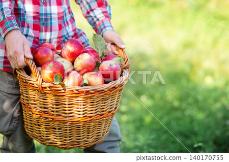 Farmer holding wicker basket full of freshly picked red apples in orchard during autumn harvest day Farmer holding wicker basket full of freshly picked red apples in orchard during autumn harvest day 140170755
