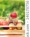 Red apple placed in miniature shopping cart on wooden crate filled with fresh apples in orchard. 140170756