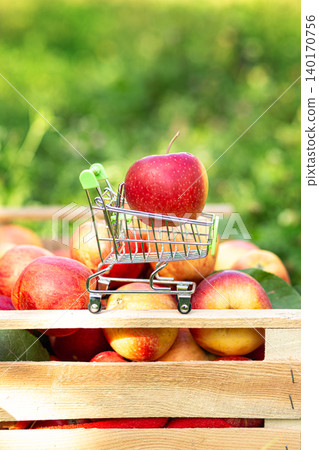 Red apple placed in miniature shopping cart on wooden crate filled with fresh apples in orchard. Red apple placed in miniature shopping cart on wooden crate filled with fresh apples in orchard. 140170756