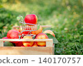 Red apple placed in miniature shopping cart on wooden crate filled  140170757