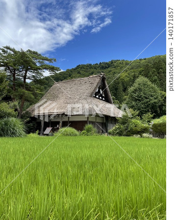 Summer in Shirakawa-go: The World Heritage site of thatched-roof houses and lush green rice fields. 140171857