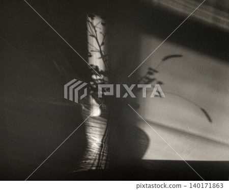 Light study of a flower bouquet shadow and caustic effect on a wall. 140171863