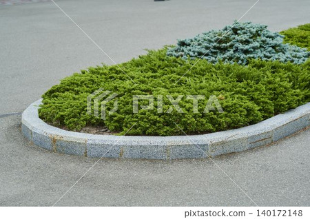 Green tranquility in a city park with carefully crafted shrubbery and stone borders Green tranquility in a city park with carefully crafted shrubbery and stone borders 140172148