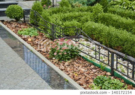 Lush garden scene with vibrant flowers and neat hedges on a rainy day Lush garden scene with vibrant flowers and neat hedges on a rainy day 140172154