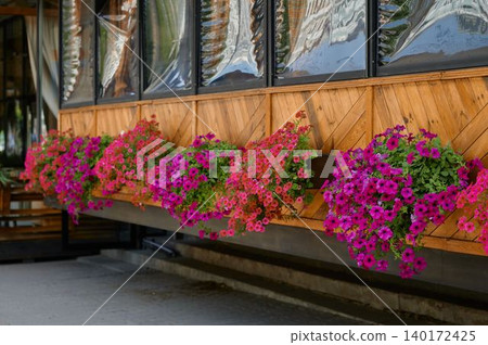 Vibrant flowers burst forth from a wooden balcony in a sunny cafe setting Vibrant flowers burst forth from a wooden balcony in a sunny cafe setting 140172425