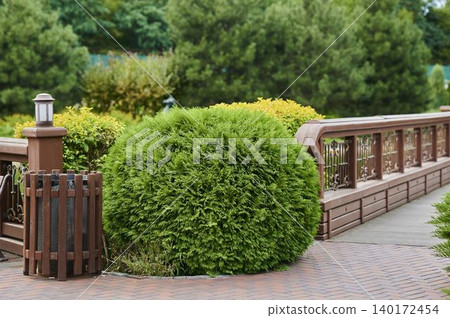Lush green shrub near a charming wooden bridge in a serene park setting Lush green shrub near a charming wooden bridge in a serene park setting 140172454