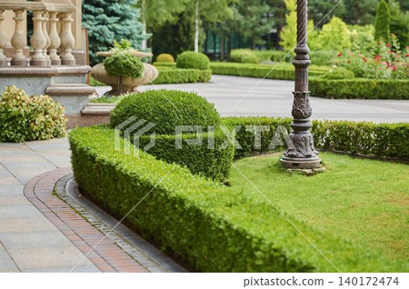 Lush green garden with neatly trimmed hedges and elegant stone paths at midday Lush green garden with neatly trimmed hedges and elegant stone paths at midday 140172474