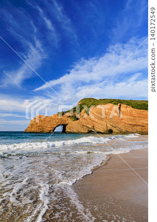 Elephant's Watering Rock, a natural scenic spot on Tanegashima Island. 140172549