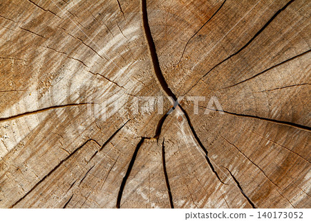 Background texture of a cracked and cut log of wood 140173052