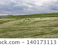 Cows grazing on green hills in Georgia 140173113