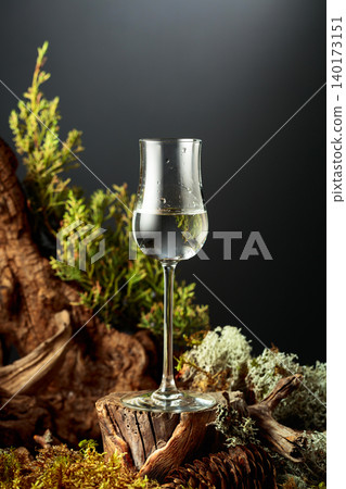 Gin or herbal bitter set among juniper branches, weathered driftwood and forest moss. 140173151