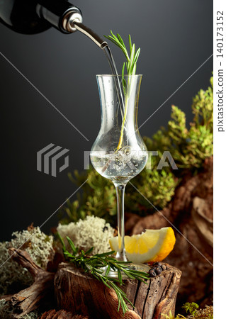Gin or herbal bitter poured from a bottle into a glass, set among juniper branches, weathered driftwood and forest moss. 140173152