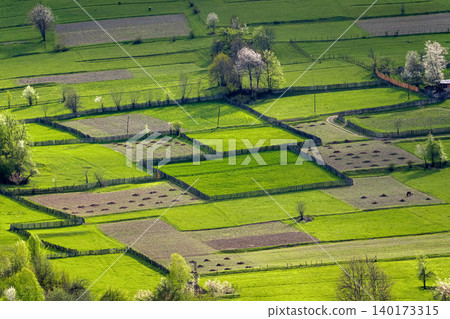 aerial view of agricultural land divided into plots aerial view of agricultural land divided into plots 140173315
