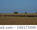 Gas pipeline construction, La Pampa province , Patagonia, Argentina. 140173490
