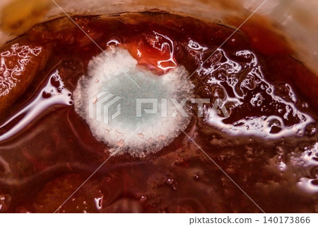 Macro close-up of mold colony on jam surface. Concept of food spoilage, hygiene, and microbiology 140173866