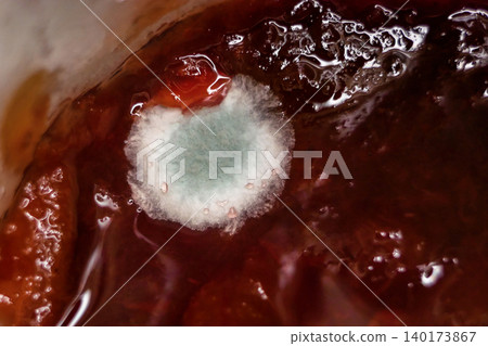 Macro close-up of mold colony on jam surface. Concept of food spoilage, hygiene, and microbiology Macro close-up of mold colony on jam surface. Concept of food spoilage, hygiene, and microbiology 140173867