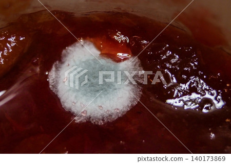 Macro close-up of mold colony on jam surface. Concept of food spoilage, hygiene, and microbiology 140173869