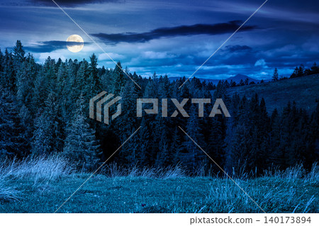 nature scenery with coniferous forest in mountain at night. full moon over carpathian landscape with spruce woodland on the hill. ukraine nature background in early autumn. mysterious fantasy nature scenery with coniferous forest in mountain at night. full moon over carpathian landscape with spruce woodland on the hill. ukraine nature background in early autumn. mysterious fantasy 140173894