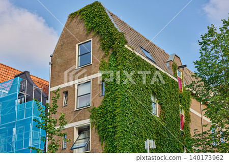 Explore the Charming Ivy-Covered Buildings, Where History Meets Vibrant City Life Explore the Charming Ivy-Covered Buildings, Where History Meets Vibrant City Life 140173962