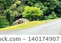A quiet country road leading into a forest in early summer: a natural and travel-themed background image. 140174907