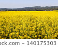 A carpet of rapeseed flowers in Yokohama Town, Aomori Prefecture (Mutsu-Yokohama) 140175303