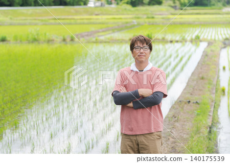 Middle-aged men planting rice Middle-aged men planting rice 140175539