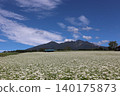 A landscape of buckwheat flowers blooming at the southern foot of the Yatsugatake Mountains. 140175873