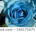 Blue rose 140175875