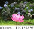 Shining lotus flower 140175876
