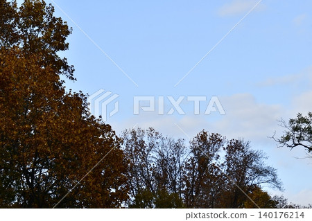 Autumn sky and autumn leaves 140176214