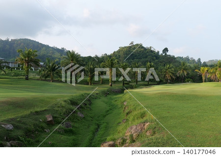 Tropical Palm Plantation Landscape in Thailand with Green Hills Tropical Palm Plantation Landscape in Thailand with Green Hills 140177046