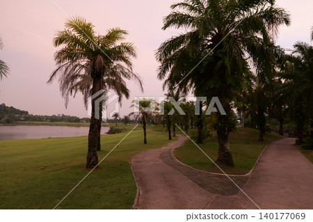 Tropical Palm Plantation Landscape in Thailand with Green Hills Tropical Palm Plantation Landscape in Thailand with Green Hills 140177069