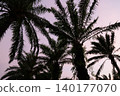 Tropical Palm Plantation Landscape in Thailand with Green Hills 140177070