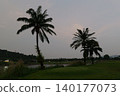 Tropical Palm Plantation Landscape in Thailand with Green Hills 140177073