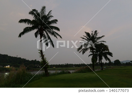 Tropical Palm Plantation Landscape in Thailand with Green Hills Tropical Palm Plantation Landscape in Thailand with Green Hills 140177073